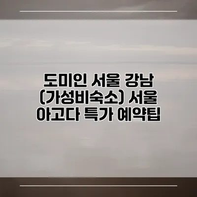 도미인 서울 강남 (가성비숙소) 서울 아고다 특가 예약팁
