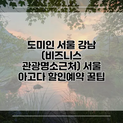 도미인 서울 강남 (비즈니스 관광명소근처) 서울 아고다 할인예약 꿀팁