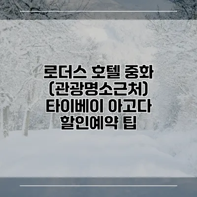 로더스 호텔 중화 (관광명소근처) 타이베이 아고다 할인예약 팁