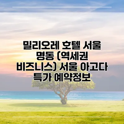 밀리오레 호텔 서울 명동 (역세권 비즈니스) 서울 아고다 특가 예약정보