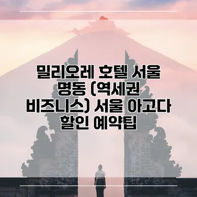밀리오레 호텔 서울 명동 (역세권 비즈니스) 서울 아고다 할인 예약팁