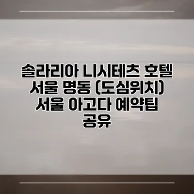솔라리아 니시테츠 호텔 서울 명동 (도심위치) 서울 아고다 예약팁 공유