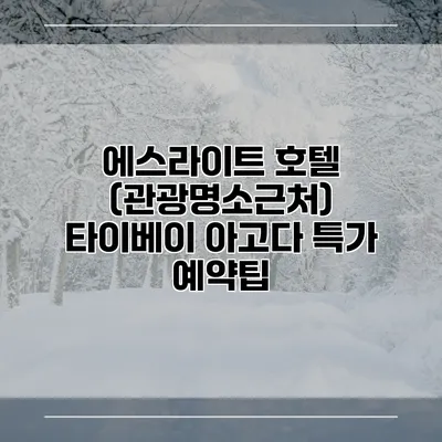 에스라이트 호텔 (관광명소근처) 타이베이 아고다 특가 예약팁