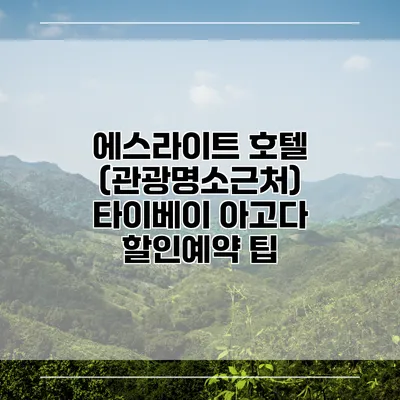 에스라이트 호텔 (관광명소근처) 타이베이 아고다 할인예약 팁