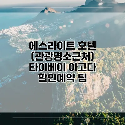 에스라이트 호텔 (관광명소근처) 타이베이 아고다 할인예약 팁