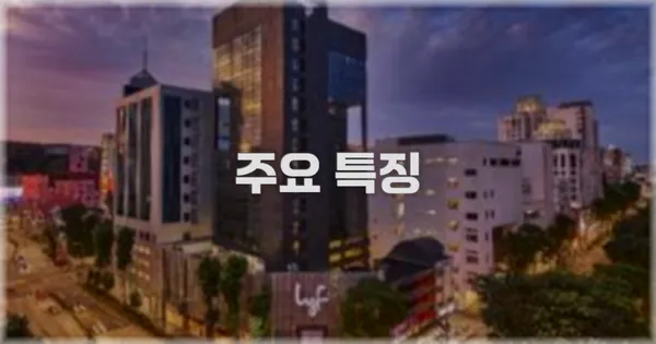 ✨ 주요 특징