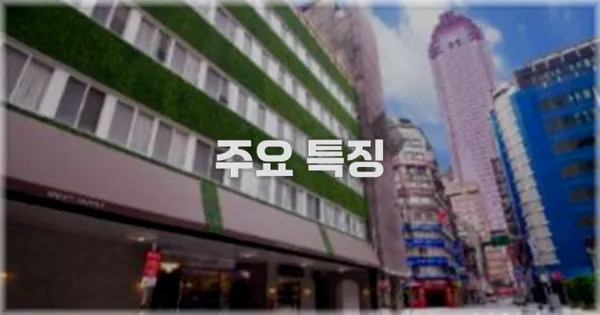 ✨ 주요 특징