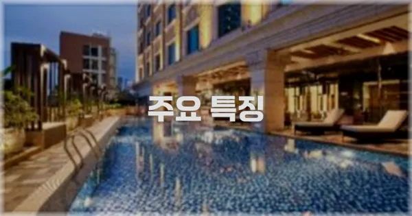 ✨ 주요 특징