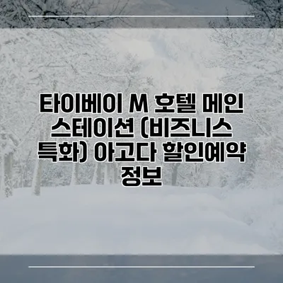타이베이 M 호텔 메인 스테이션 (비즈니스 특화) 아고다 할인예약 정보