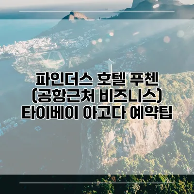 파인더스 호텔 푸첸 (공항근처 비즈니스) 타이베이 아고다 예약팁