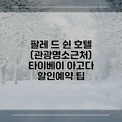 팔레 드 쉰 호텔 (관광명소근처) 타이베이 아고다 할인예약 팁