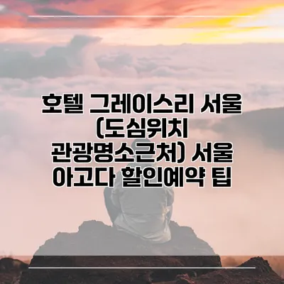 호텔 그레이스리 서울 (도심위치 관광명소근처) 서울 아고다 할인예약 팁