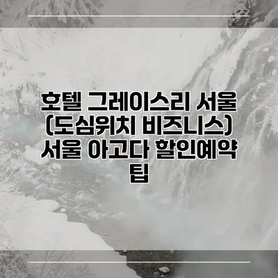 호텔 그레이스리 서울 (도심위치 비즈니스) 서울 아고다 할인예약 팁