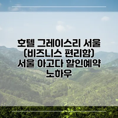 호텔 그레이스리 서울 (비즈니스 편리함) 서울 아고다 할인예약 노하우