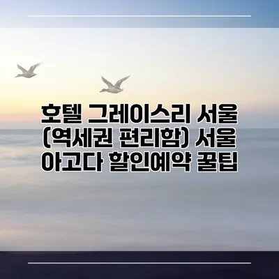 호텔 그레이스리 서울 (역세권 편리함) 서울 아고다 할인예약 꿀팁