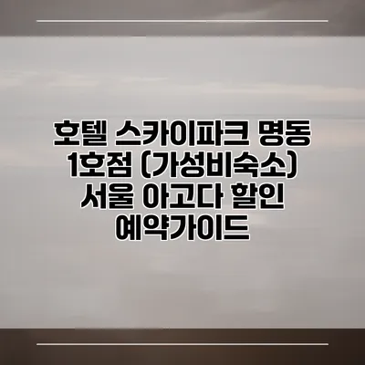호텔 스카이파크 명동 1호점 (가성비숙소) 서울 아고다 할인 예약가이드