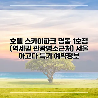 호텔 스카이파크 명동 1호점 (역세권 관광명소근처) 서울 아고다 특가 예약정보