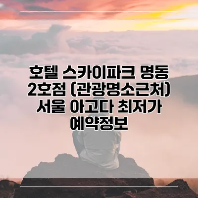 호텔 스카이파크 명동 2호점 (관광명소근처) 서울 아고다 최저가 예약정보