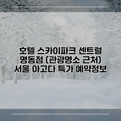 호텔 스카이파크 센트럴 명동점 (관광명소 근처) 서울 아고다 특가 예약정보