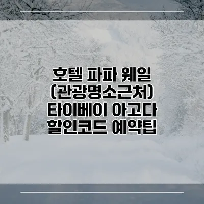 호텔 파파 웨일 (관광명소근처) 타이베이 아고다 할인코드 예약팁