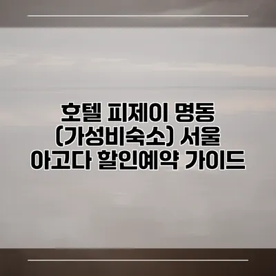 호텔 피제이 명동 (가성비숙소) 서울 아고다 할인예약 가이드